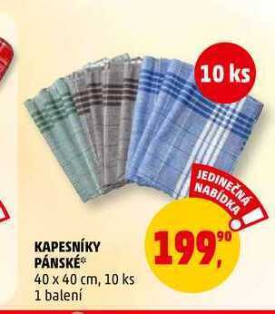 Penny Market Kapesníky pánské, 10 ks nabídka