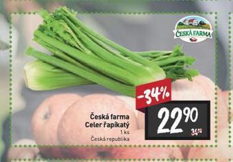 Billa Celer řapíkatý nabídka