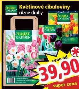 Norma Květinové cibuloviny nabídka