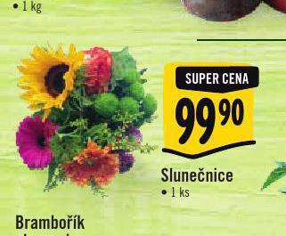 Slunečnice