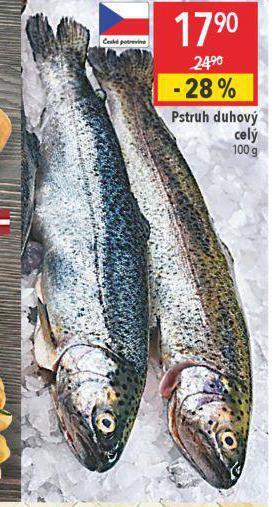 Globus Pstruh duhový nabídka