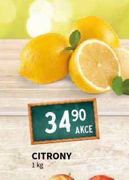 Terno Citrony nabídka