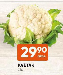 Terno Květák nabídka