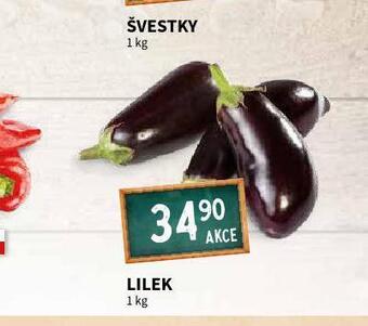 Terno Lilek nabídka