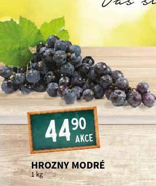 Terno Hrozny modré nabídka