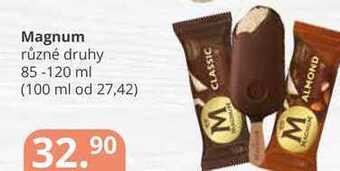 Potraviny CZ Magnum různé druhy 85-120 ml nabídka