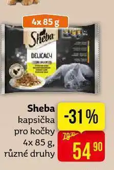 Sheba kapsičky pro kočky