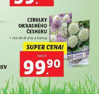 Lidl Cibulky okrasného česneku nabídka