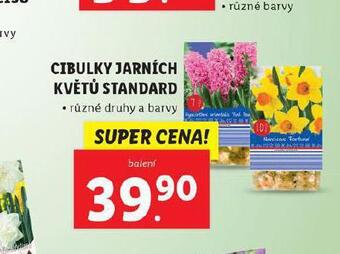 Lidl Cibulky jarních květů standard nabídka