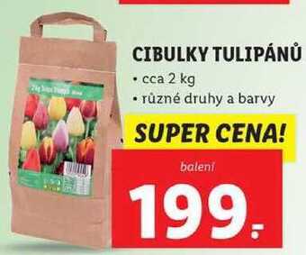 Lidl Cibulky tulipánů, cca 2 kg nabídka