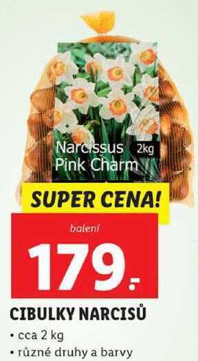 Lidl Cibulky narcisů, cca 2 kg nabídka