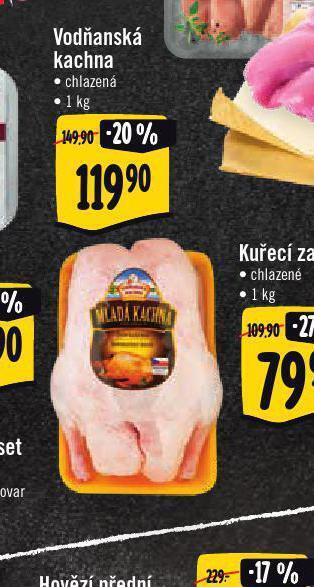 Vodňanská kachna