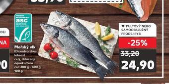 Kaufland Mořský vlk nabídka