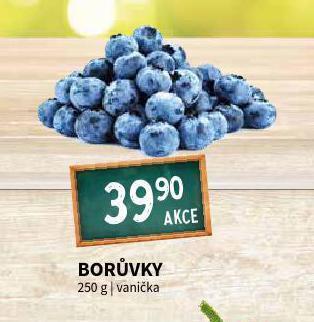 Terno Borůvky nabídka