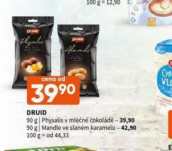 Terno Druid physalis v mléčné čokoládě nabídka