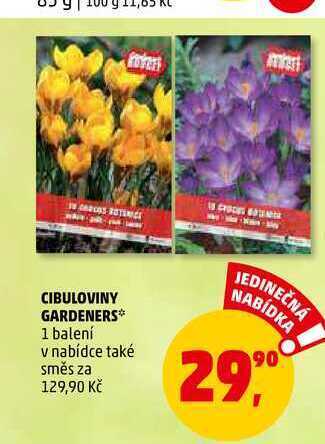 Penny Market Cibuloviny gardeners, 1 balení nabídka