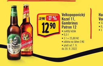 Albert Pivo gambrinus patron 12 nabídka