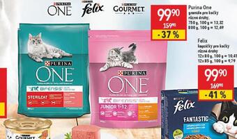 Globus Purina one granule pro kočky nabídka