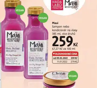 dm drogerie Maui šampon, kondicioner nabídka