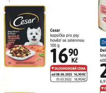 Cesar kapsičky pro psy