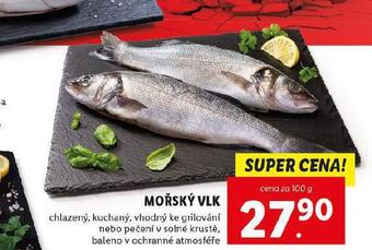 Lidl Mořský vlk nabídka