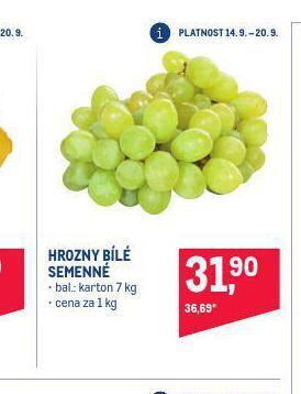 Makro Hrozny bílé bezsemenné nabídka