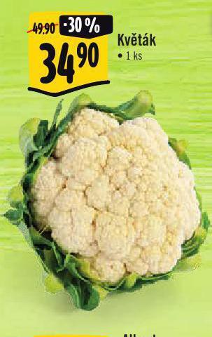 Jip Květák nabídka