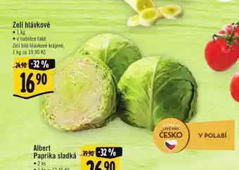 Albert Zelí hlávkové nabídka