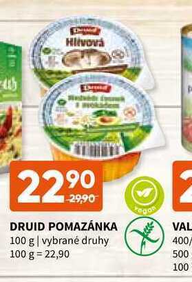 Terno Druid pomazánka 100 g nabídka