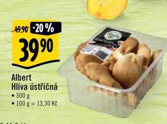 Albert Albert hlíva ústřičná 300 g nabídka
