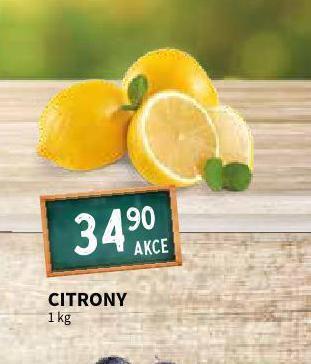Terno Citrony nabídka