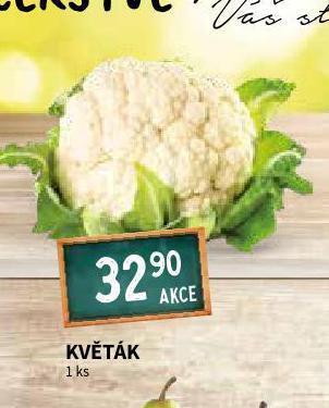 Terno Květák nabídka