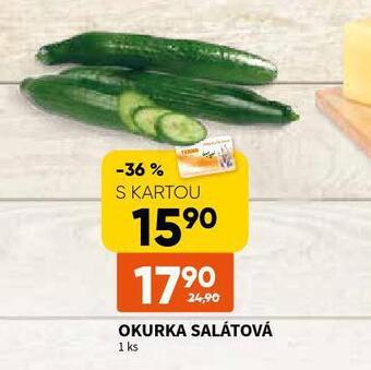 Terno Okurka salátová nabídka