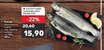 Kaufland Pstruh nabídka