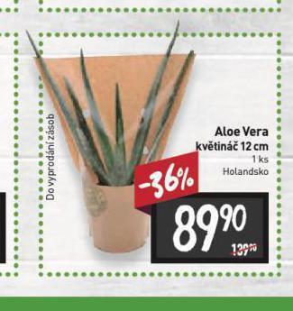 Billa Aloe vera nabídka