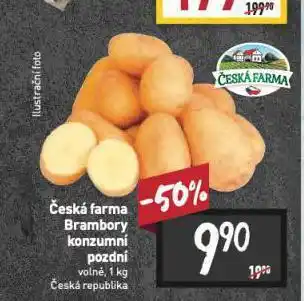 Česká farma