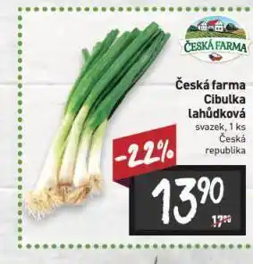 Billa Cibule lahůdková nabídka