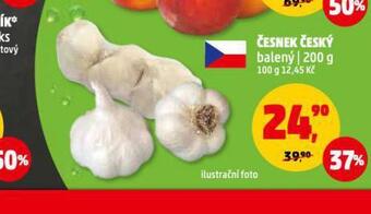 Penny Market Česnek český nabídka