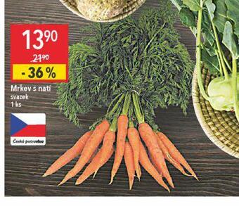 Globus Mrkev s natí nabídka