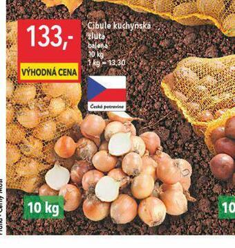 Globus Cibule kuchyňská nabídka