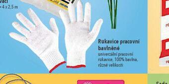 Globus Rukavice pracovní nabídka