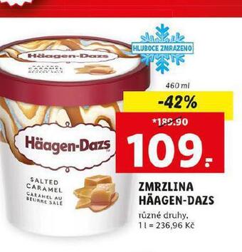 Lidl Häagen dazs zmrzlina nabídka