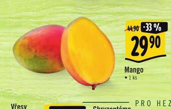 Jip Mango nabídka