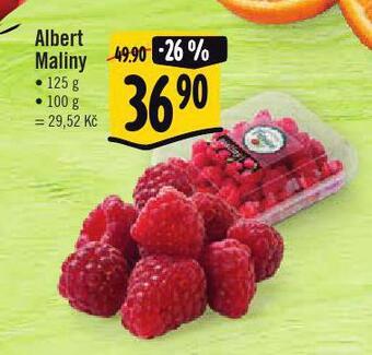 Jip Maliny nabídka