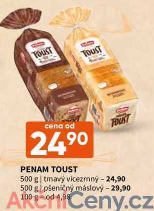 Terno Penam toust 500 g nabídka
