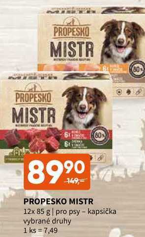 Terno Propesko mistr 12x 85 g nabídka