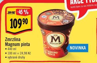 Jip Zmrzlina magnum pinta nabídka
