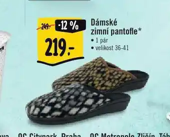 Albert Dámské zimní pantofle nabídka