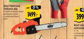 Albert Asist elektrická řetězová pila nabídka