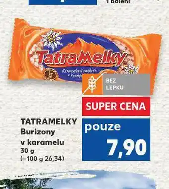 Tatramelky burizony v karamely